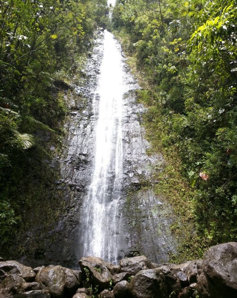 Manoa Falls And Maunawili Falls - Two Great Hikes In Honolulu Watershed 