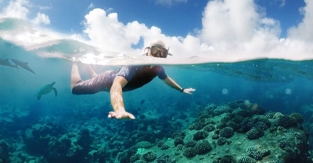 snorkeling in waikiki honolulu
