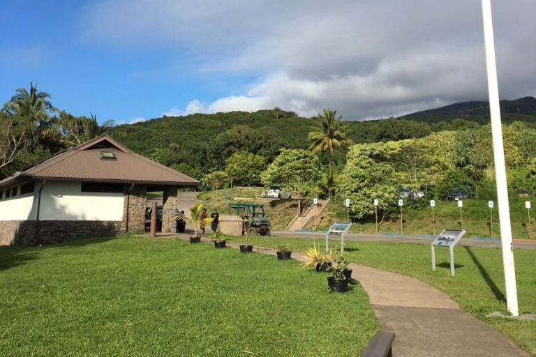 Hike the Pipiwai Trail to Breathtaking Waimoku Falls – HomeyHawaii