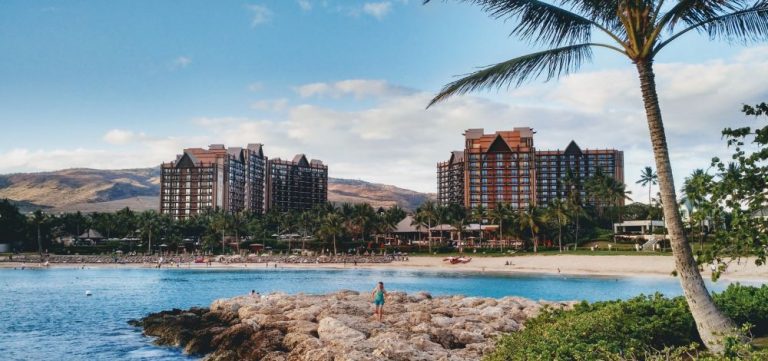 How To Make Money On Vacation Rental Property In Hawaii – HomeyHawaii